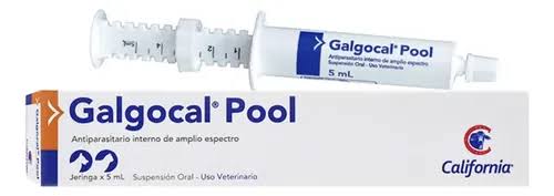 GALGOCAL POOL